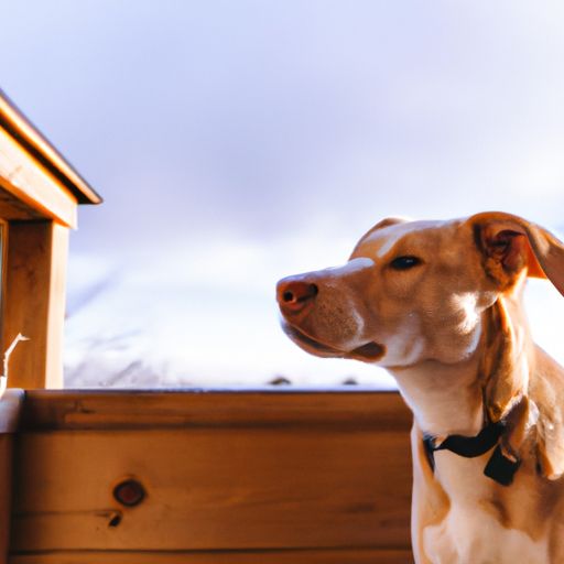 pet friendly cabins maryland